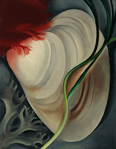 Shell II Georgia O'Keeffe